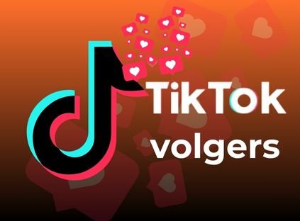 TikTok Volgers